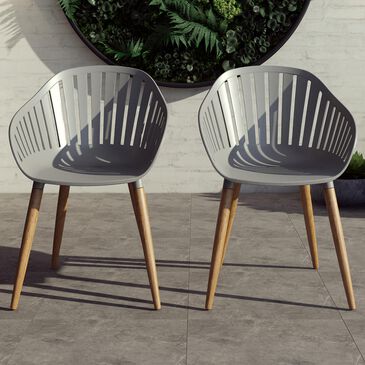 Amazonia Patio Arm Chair in Brown and Gray (Set of 2), , large