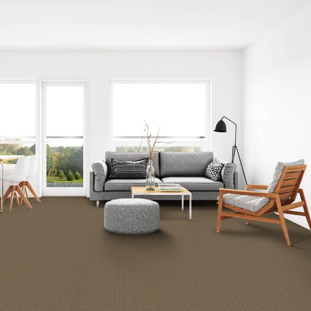 Dixie Home Galliard Carpet in Gateway, , large