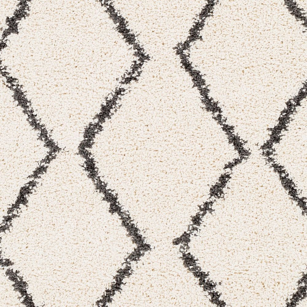 Surya Berber Shag BBE2303 6&#39;7&quot; x 9&#39; Charcoal and Beige Area Rug, , large