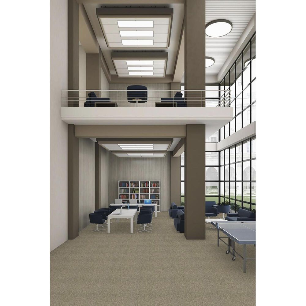 Shaw Multiplicity 18&quot; x 36&quot; Carpet Tile in Plethora, , large