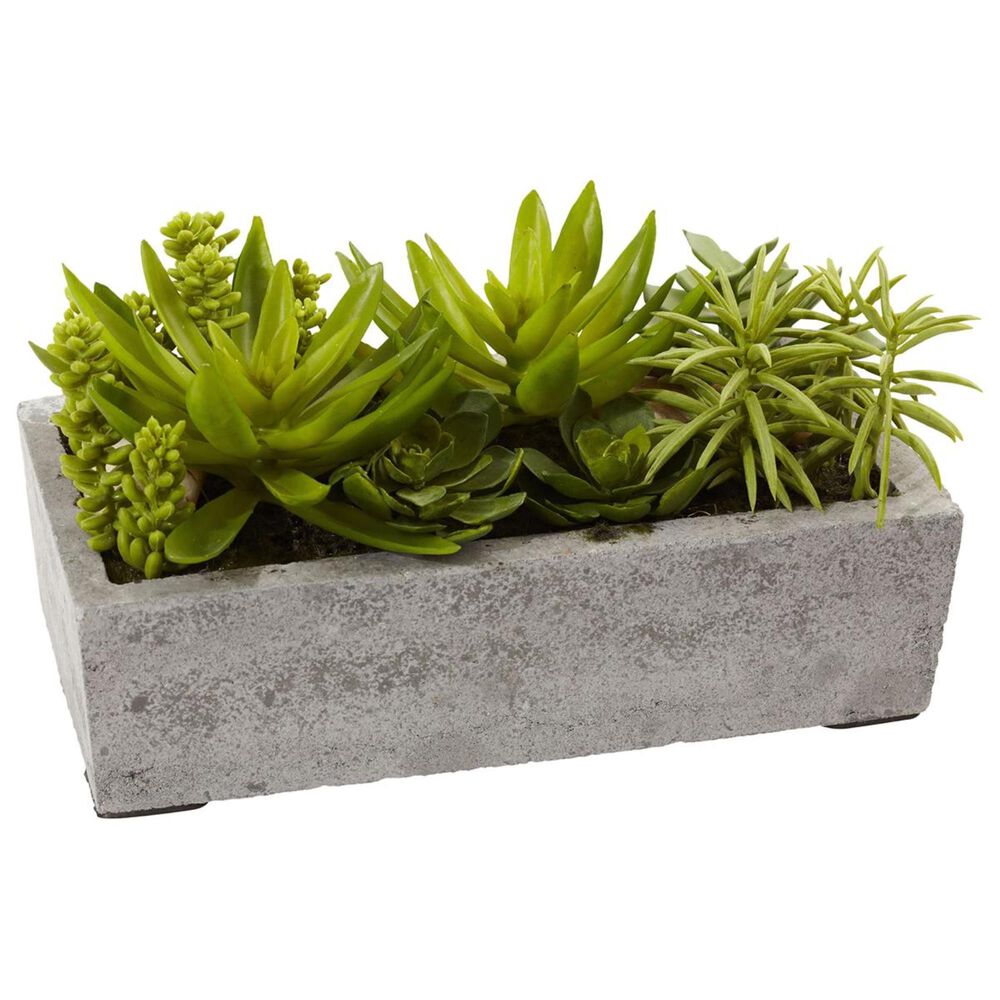 37B Succulent Garden with Concrete Planter, , large