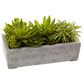 37B Succulent Garden with Concrete Planter, , large