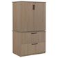Regency Global Sourcing Legacy 2-Piece Lateral File with Stackable Storage Cabinet in Noble Oak, , large