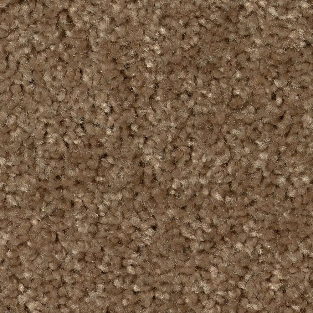 Shaw Hot Topic Carpet in Meadowlark, , large