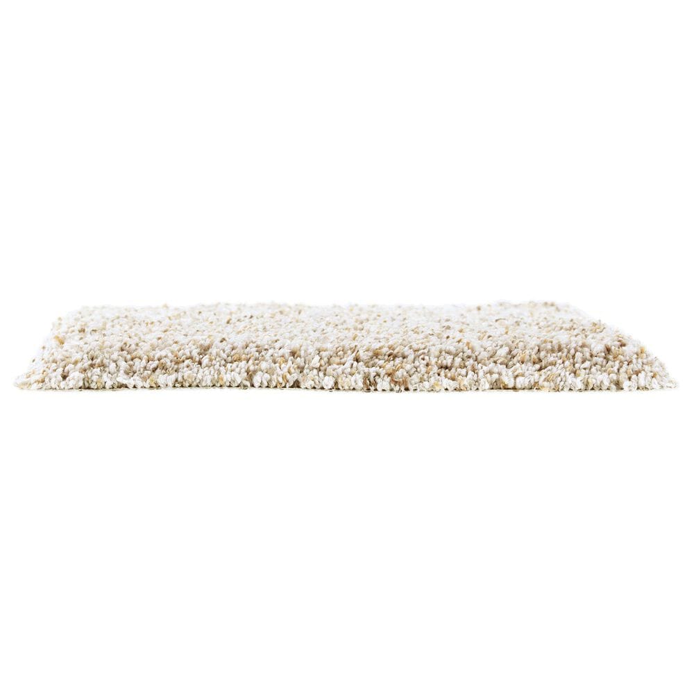 Mohawk Exquisite Appeal Carpet in Nature&#39;s Blend, , large