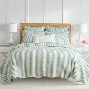 Levtex Martha 3-Piece King/Cal King Quilt Set in Sage and White, , large