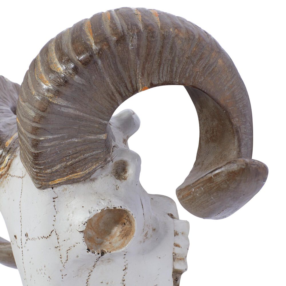Maple and Jade 12&quot; x 14&quot; Farmhouse Sheep Skull Wall Decor in White and Bronze, , large