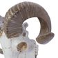 Maple and Jade 12" x 14" Farmhouse Sheep Skull Wall Decor in White and Bronze, , large