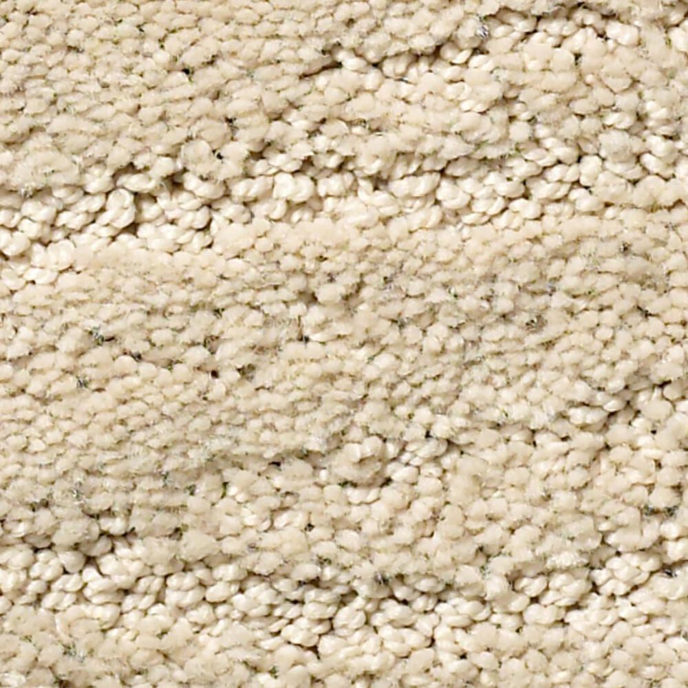 Anderson Tuftex Pose Carpet in Morning Light, , large