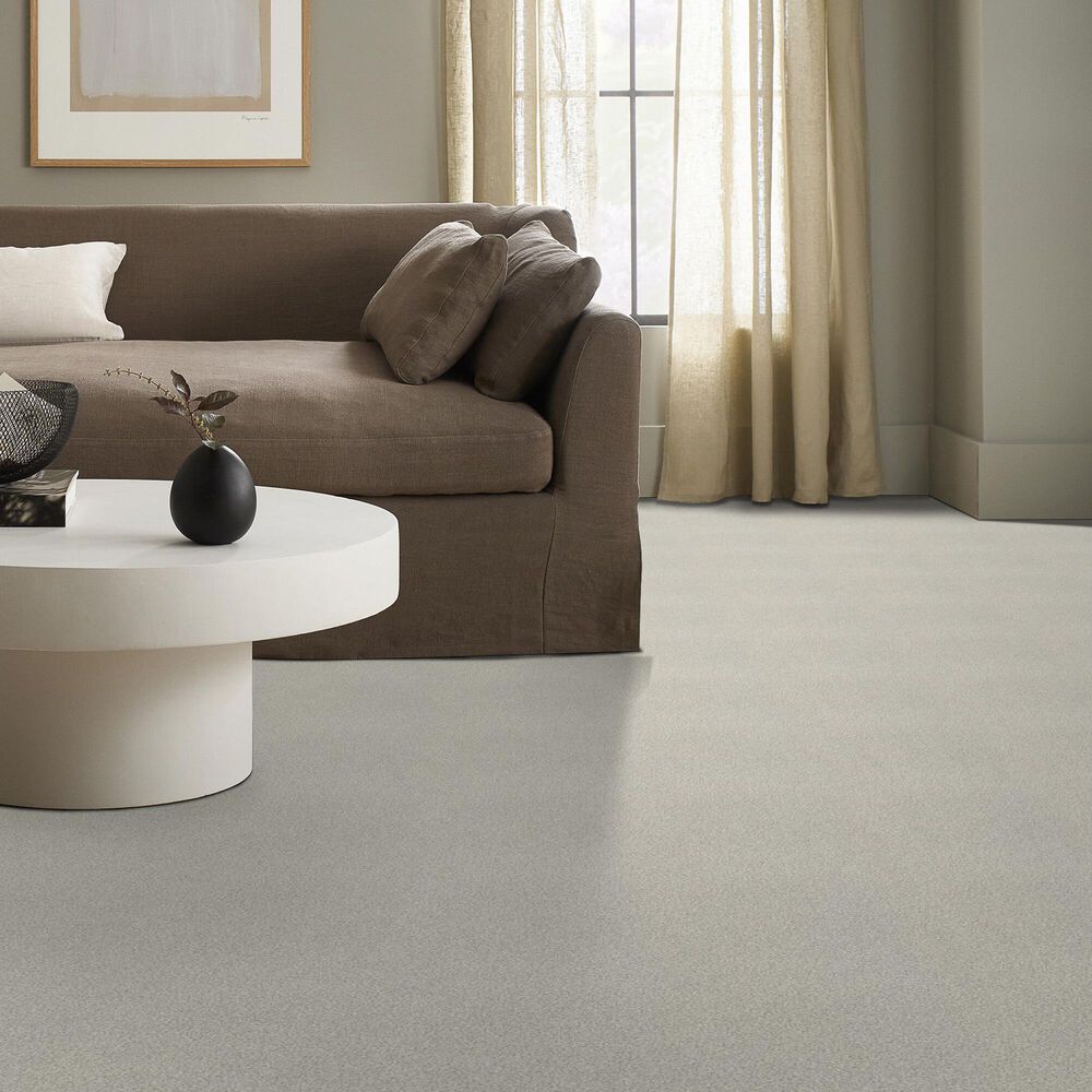 Shaw Tonal Comfort Ii Carpet in Need A Hug, , large