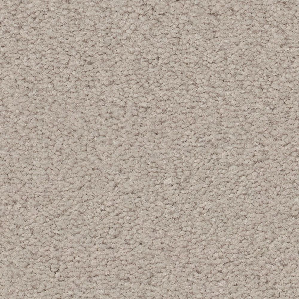 Anderson Tuftex Finery Carpet in First Frost, , large