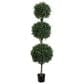 Allstate Floral 6" Tri Ball Boxwood Tree in Green, , large