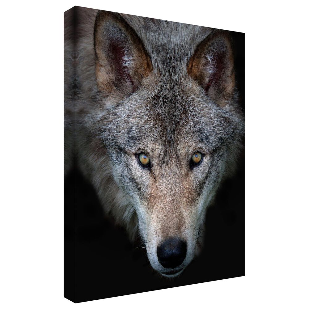 Timberlake Jim Cumming "All The Better To See You - Timber Wolf" 47" x 35" Canvas Art in Black/Grey/Brown, , large