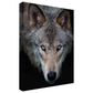 Timberlake Jim Cumming "All The Better To See You - Timber Wolf" 47" x 35" Canvas Art in Black/Grey/Brown, , large