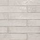 MS International Stella Rhino 2" x 10" Ceramic Tile, , large