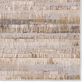 Jaipur Catalyst Elysia 7"10" x 10"6" Charcoal Gray, Coffee Liqueur, Candied Ginger, Silver Gray and Cobblestone Area Rug, , large