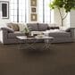 Shaw Hard At Play Iii Carpet in Mission Ridge, , large