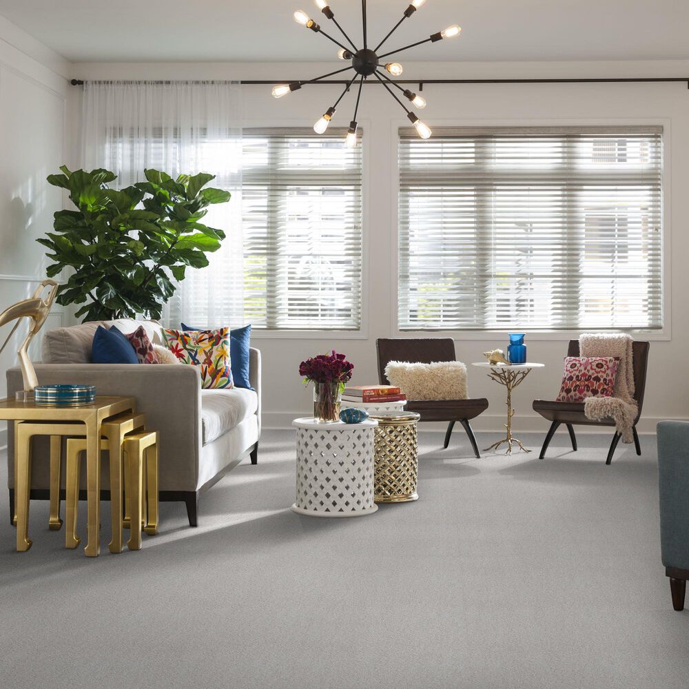 Anderson Tuftex Caress by Shaw Cozy Harbor II Carpet in Snowfall, , large