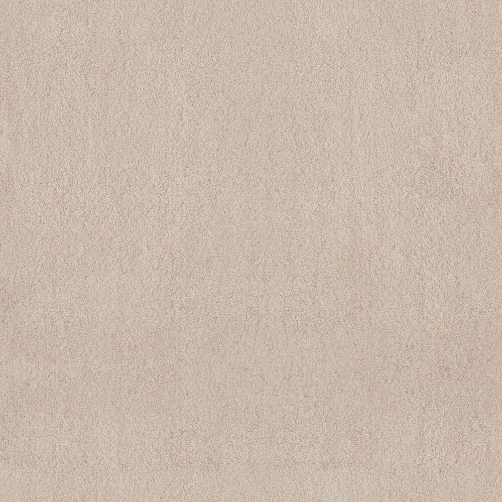 Anderson Tuftex Luxe Feel I Carpet in Neutral Ground, , large