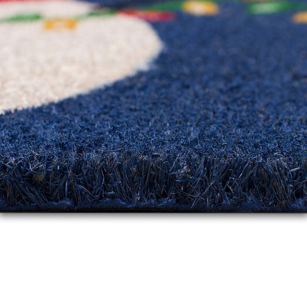 Trans-Ocean Import Natura Frosty and Bright 1&#39;6&quot; x 2&#39;6&quot; Navy Outdoor Door Mat, , large