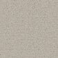 Phenix Emerson Carpet in Trendsetter, , large
