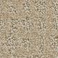 Phenix Mesh Carpet in Fasten, , large