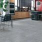 Shaw Arena Grey 12" x 24" Ceramic Tile, , large