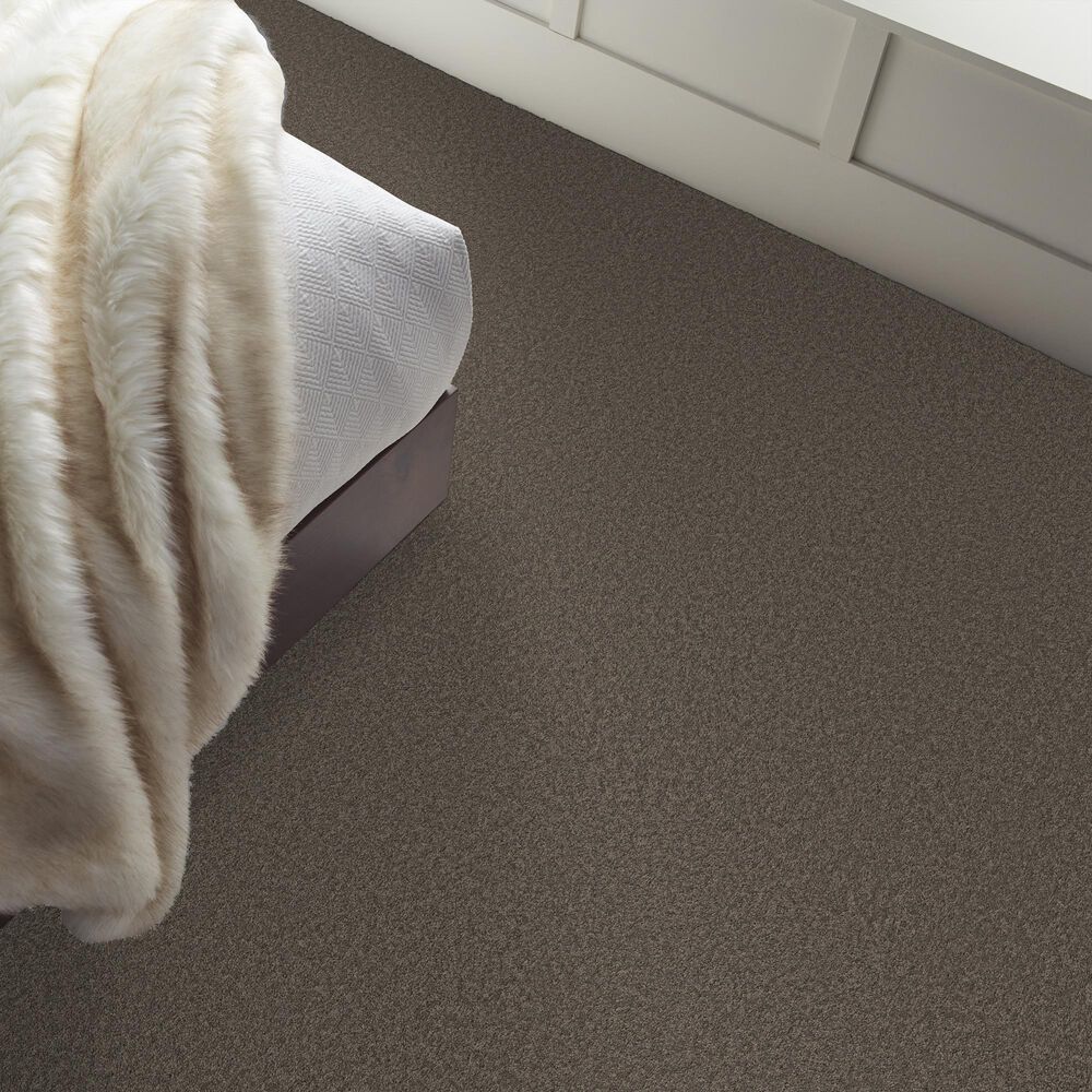 Philadelphia Champagne Taste I Carpet in Ashes, , large