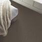 Philadelphia Champagne Taste I Carpet in Ashes, , large