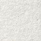 Shaw Find Your Comfort NS I Carpet in Coming Home, , large