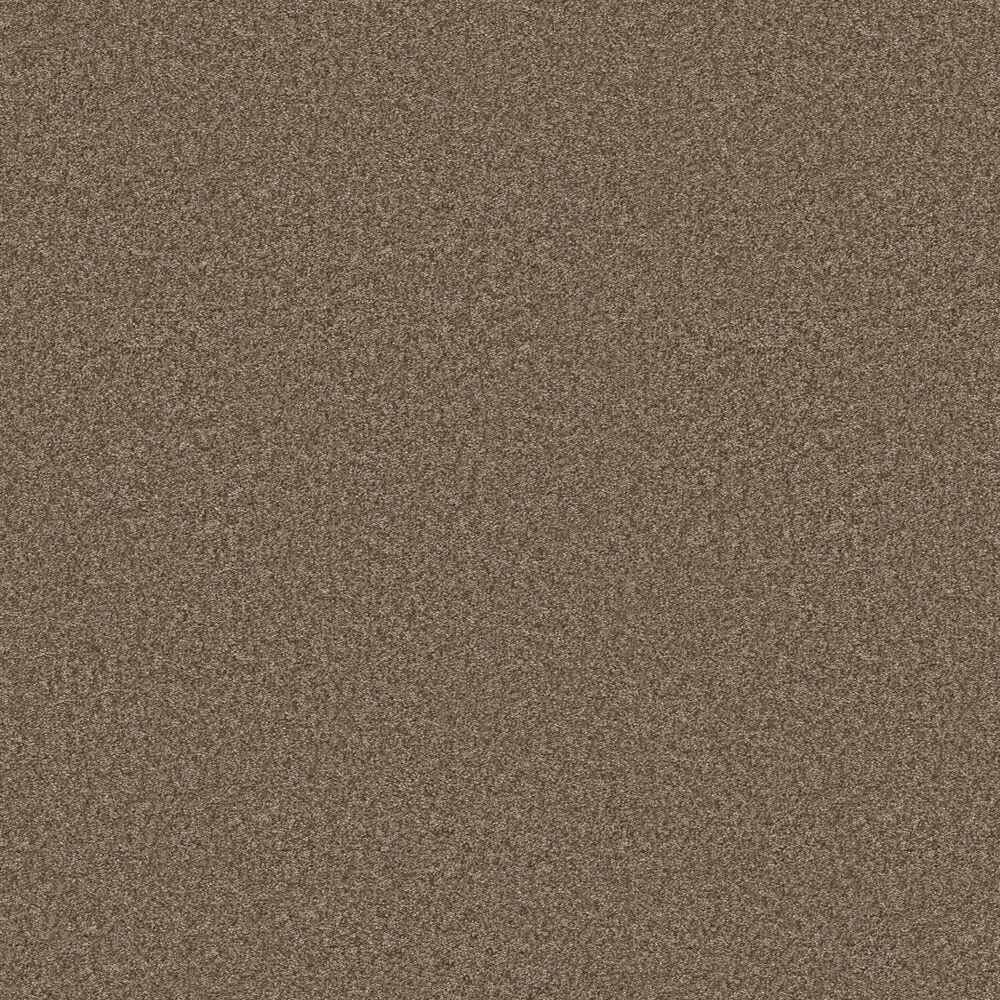 Shaw You Got This I Carpet in Mission Ridge, , large