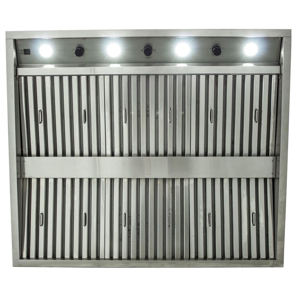 Blaze 42&quot; Vent Outdoor Hood in Stainless Steel, , large