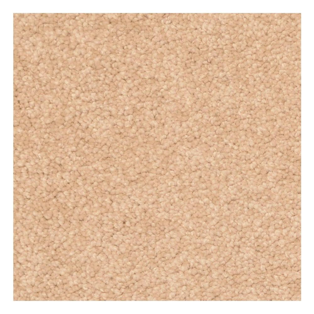 Dixie Home Paula Carpet in Dusty Trail, , large