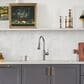 Blanco Empressa Pull-Down Kitchen Faucet 1.5 GPM in Chrome, , large
