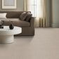 Anderson Tuftex Bali Carpet in Stucco Tan, , large