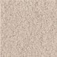 Anderson Tuftex Luxe Feel I Carpet in Heirloom, , large