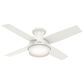 Hunter Dempsey 44" Low Profile Ceiling Fan with Light in Fresh White, , large