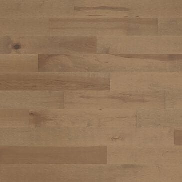 Paramount Forester Chardonnay 3 1/4" Maple Solid Hardwood, , large