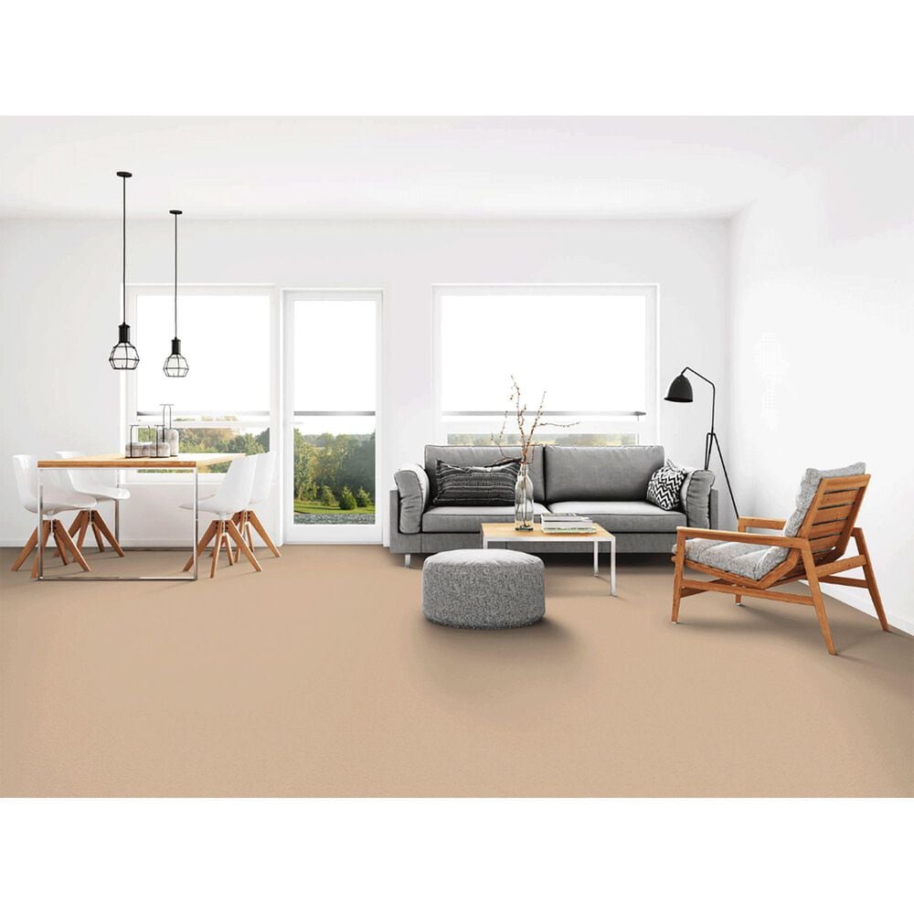 Dixie Home Neverland Carpet in Hillcrest, , large