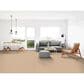 Dixie Home Neverland Carpet in Hillcrest, , large