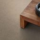 Shaw Home Within Carpet in Worn Path, , large