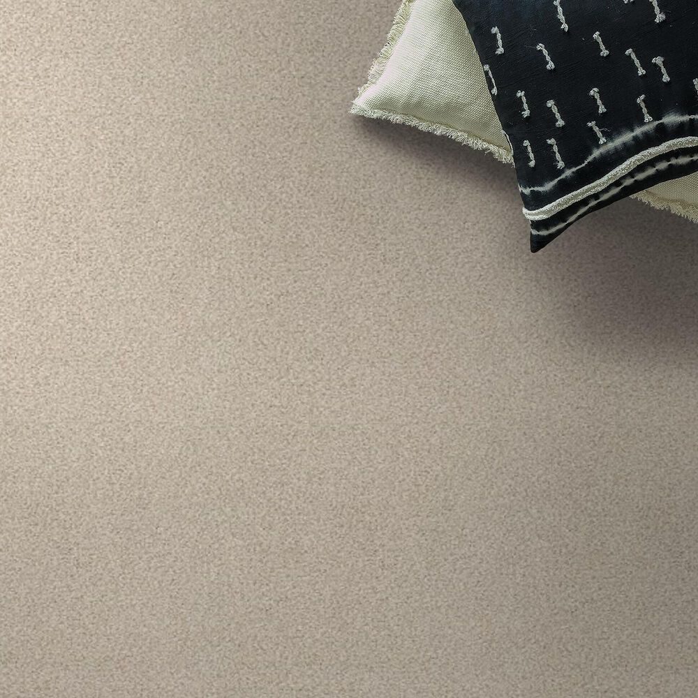 Shaw Tonal Comfort I Carpet in Happy Place, , large