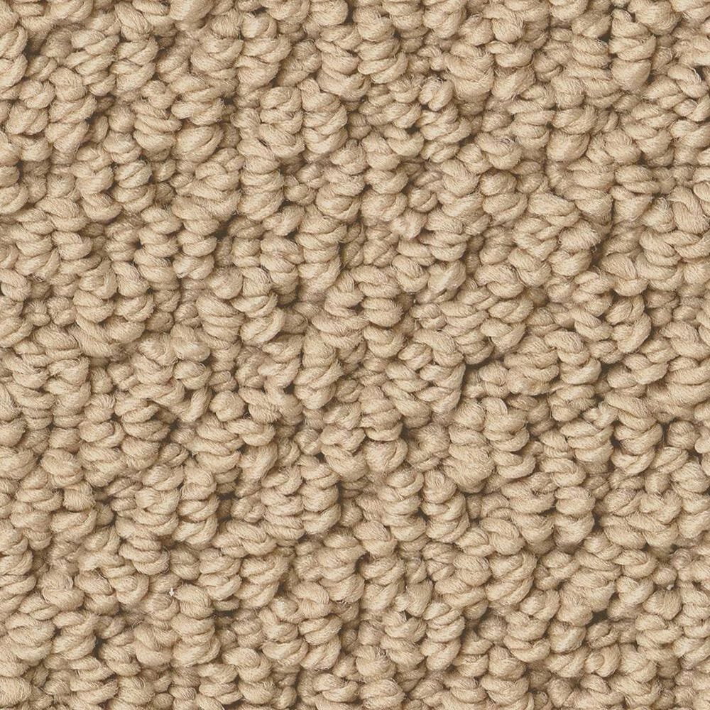 Anderson Tuftex Gracious Carpet in Golden Rule, , large