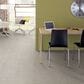 Anderson Tuftex Caress by Shaw Calais Stil Carpet in Mist, , large