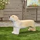 Hearth and Haven Outdoor MGO Dog Bench in Light Brown, , large