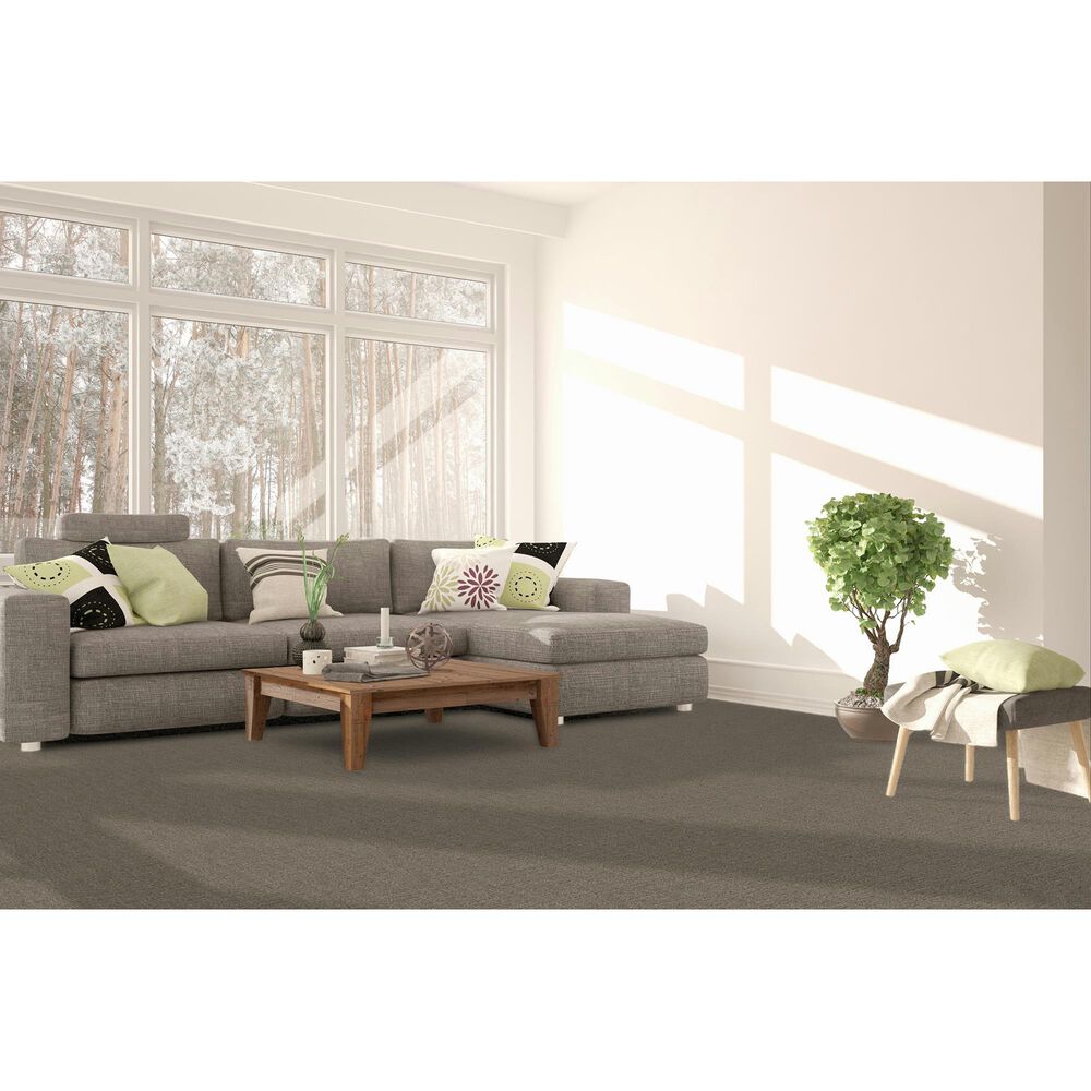 Dream Weaver Natural Attraction Carpet in Warm Putty, , large