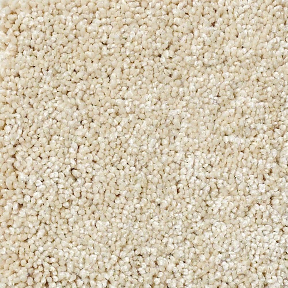Shaw Foundations Take The Floor Texture II Carpet in Restoration, , large