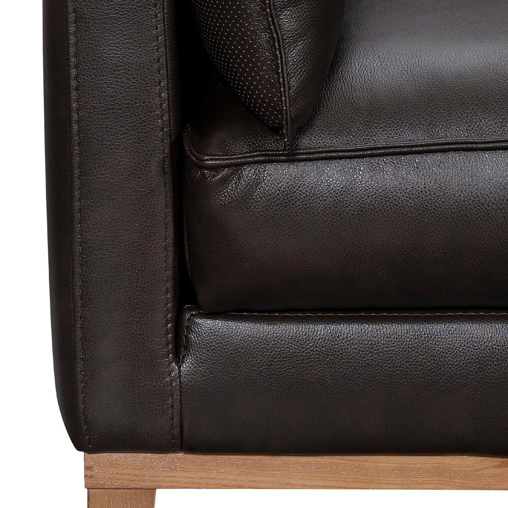Blue River Pompeii Stationary Sofa in Dark Brown, , large