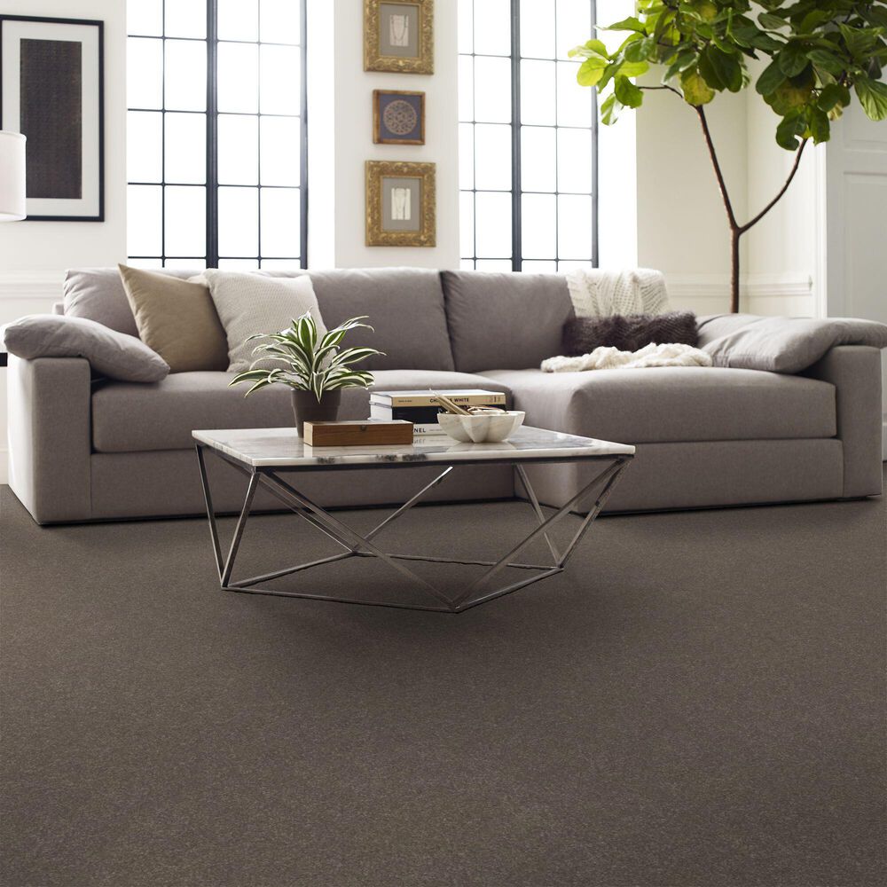 Shaw Hard At Play I Carpet in Cobblestone, , large