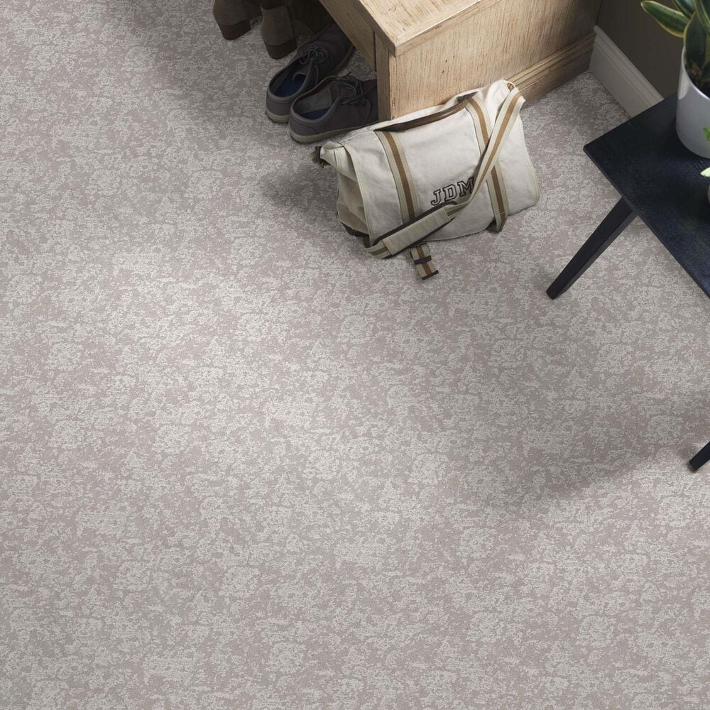 Anderson Tuftex Caress Free Spirit Carpet in Minimal, , large